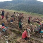 BNPB dan Pemkab Lanny Jaya Aktifkan Posko Tangani Bencana Kekeringan